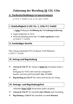Schema Zulassung der Berufung