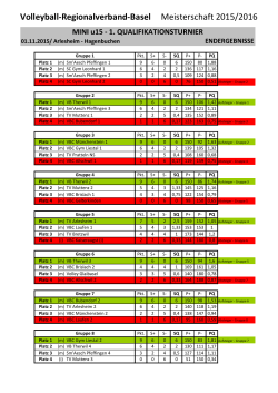 Mini - Swissvolley Region Basel