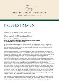 Bericht als PDF