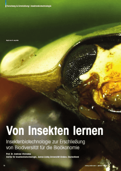 Insektenbiotechnologie zur Erschlie&szlig;ung von