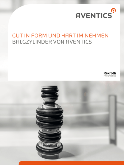 Gut in FoRm unD haRt im nehmen BalGzylinDeR von aventiCS