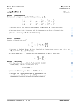 Blatt 7 - Institut für Mathematik