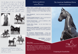 The American Saddlebred Horse Ursprung & Geschichte