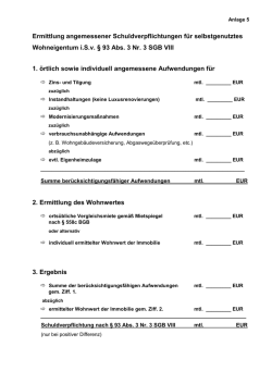 Ermittlung angemessener Schuldverpflichtungen für selbstgenutztes