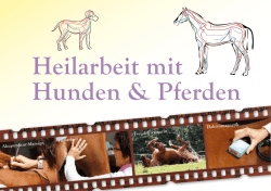 Heilarbeit mit Hunden & Pferden