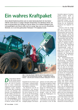 Ein wahres Kraftpaket - Jan Teerling