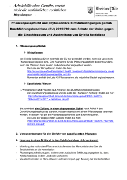 Infoblatt Xylella jo