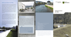 Hochwasserschutz für Flöha - Publikationen