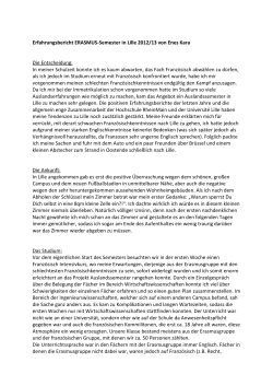Enes Kara Erfahrungsbericht Studium in Lille 2012/13 (PDF 800 KB)