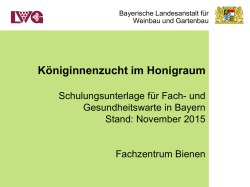 K&ouml;niginnenzucht im Honigraum - LWG