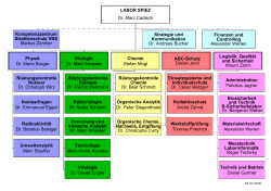 Organigramm