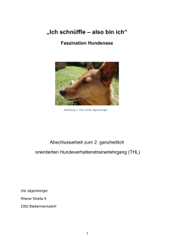 Ich schn&uuml;ffle-also bin ich