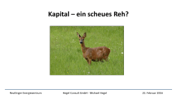 Kapital - ein scheues Reh_Hegel Consult GmbH