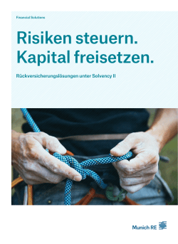 Risiken steuern. Kapital freisetzen.