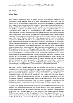 KASK School of Arts, Gent 2012 Tina Schulz Auf der Kippe Die