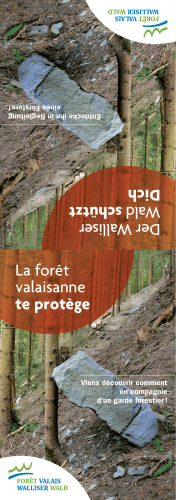 Dépliant «La forêt valaisanne te protège