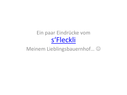 S`fleckli - Funmail2u