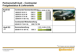 Audi O.E. Bereifungsdaten