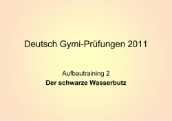 Der schwarze Wasserbutz