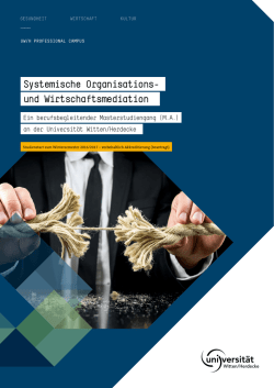 und Wirtschaftsmediation Systemische Organisations