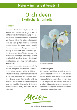 Orchideen - Meier AG