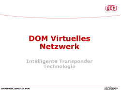 DOM Virtuelles Netzwerk