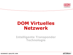 DOM Virtuelles Netzwerk