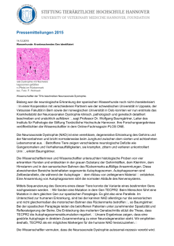 Pressemitteilungen 2015 - Stiftung Tierärztliche Hochschule Hannover