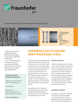 Infoblatt ansehen