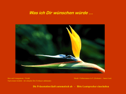 Ich w&uuml;nsche Dir - bei Miteinander