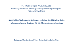 eine gemeinsame Strategie f&uuml;r die Metropolregion Hamburg (MRH)