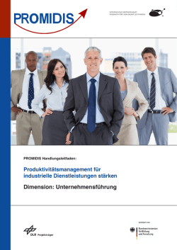 Dimension: Unternehmensf&uuml;hrung