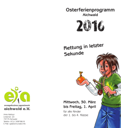 Ausschreibung des Ferienprogramms als PDF zum