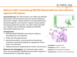 Referenz GAS: Entwicklung MD/ND-Netzmodell ab - e
