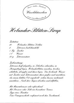 Holunder-Bl&uuml;ten-Sirup