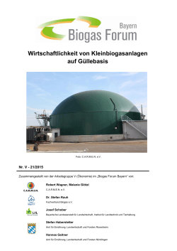 Wirtschaftlichkeit von Kleinbiogasanlagen auf Güllebasis