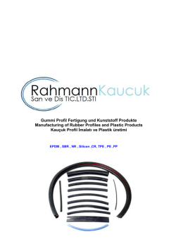 Gummi Profil Fertigung und Kunststoff Produkte Manufacturing of