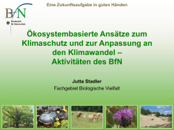 Die Unsterblichkeit der Maik&auml;fer