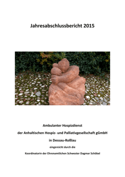 Jahresabschlussbericht 2015