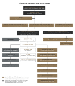 Organigramm - Griston Holding AG