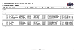 LM Triathlon 2015 Ergebnis Staffel