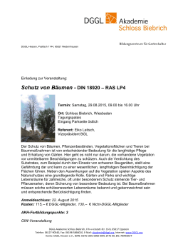 Schutz von Bäumen - DIN 18920 – RAS LP4