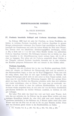 HERPETOLOGISCHE NOTIZEN 1) IV. Fordonia leucobaIia Schlegel