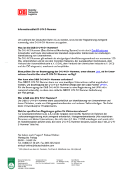 Informationsblatt DUNS-Nummer