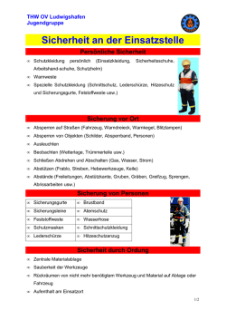 Infokarten Sicherheit an Einsatzstellen - THW