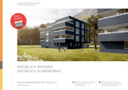 nat&uuml;rlich wohnen nat&uuml;rlich in brigerbad - Mittagsfluh