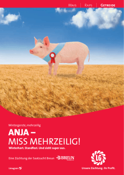 ANJA - Miss Mehrzeilige