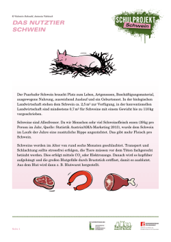 das nutztier schwein - Tierschutz macht Schule
