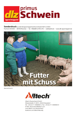 Schwein - Alltech