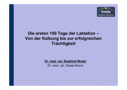Die ersten 100 Tage der Laktation &ndash; Von der Kalbung